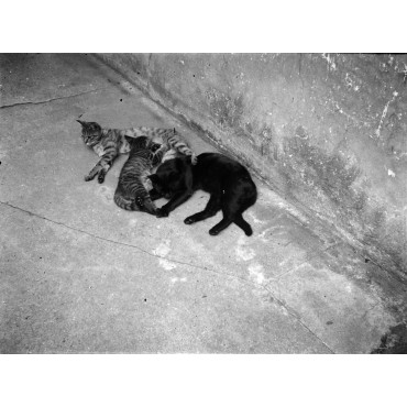 Date inconnu vers 1940