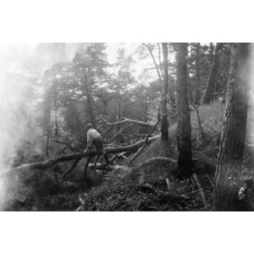 Date inconnu vers 1940