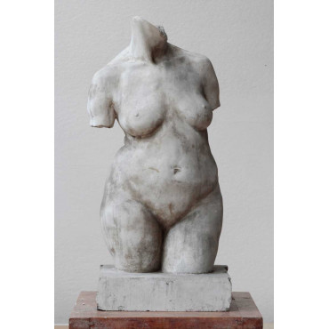 Torse de femme