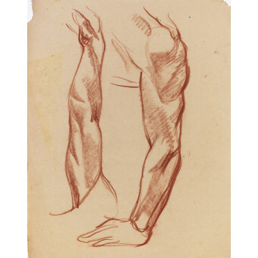 Deux étude de bras