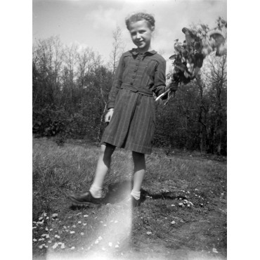 Début des années 50