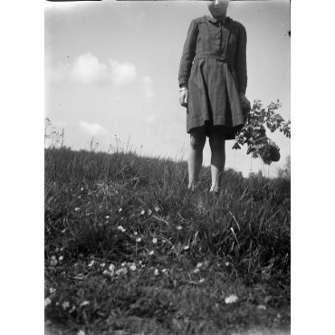 Début des années 50