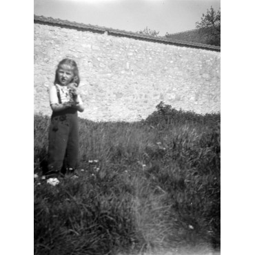 Début des années 50