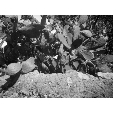 Voyage en Italie, Capri