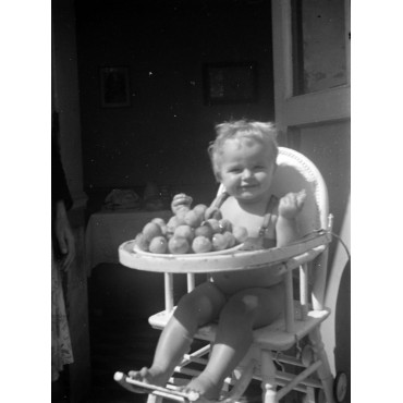 Boizou ne partage pas ses reine-claudes