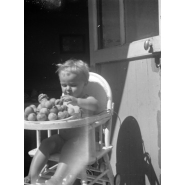 Boizou ne partage pas ses reine-claudes