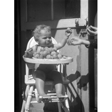 Boizou ne partage pas ses reine-claudes