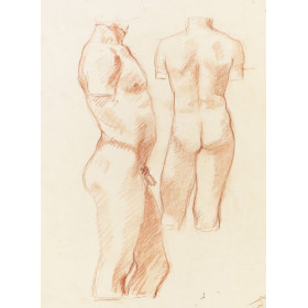Etude de torse