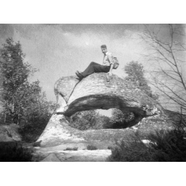 Fontainebleau, la forêt