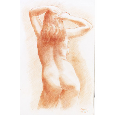 Femme nue de dos se coiffant