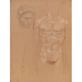 Torse homme nu de face et profil et portrait homme