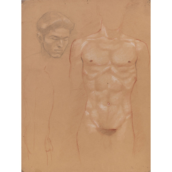 Torse homme nu de face et profil et portrait homme