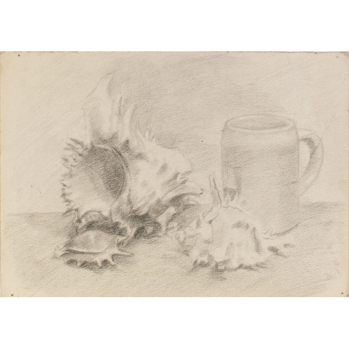 Nature morte aux trois coquillages et à la chope de bière