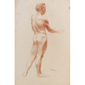 Adolescent garçon nu, debout, de dos