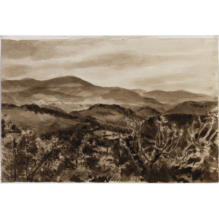 Paysage de TOURETTE vue des tours blanches