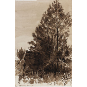 Paysage, le puit de pépé ROQUEFORT