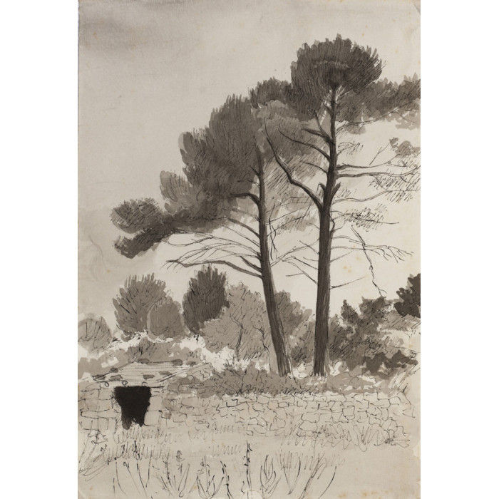 Paysage, ROQUEFORT