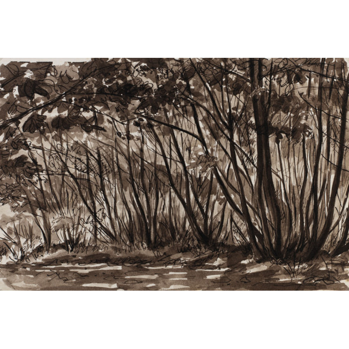 Paysage