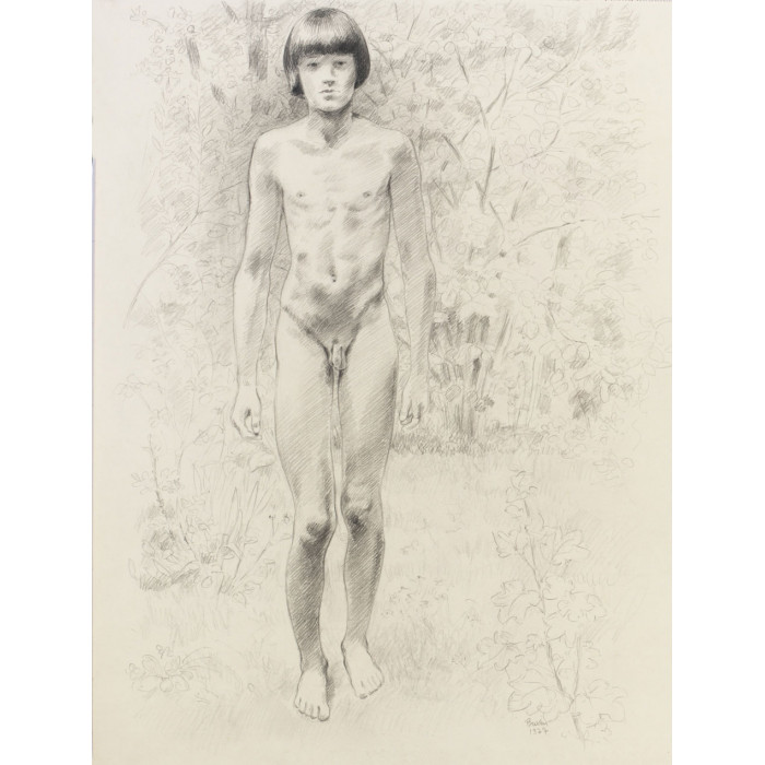 Adolescent garçon nu de face, paysage