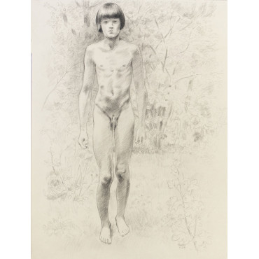 Adolescent garçon nu de face, paysage