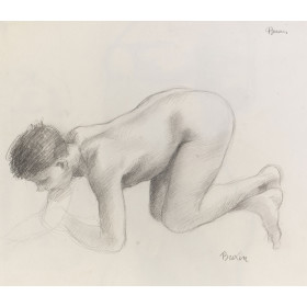 Adolescent garçon à quatre pattes