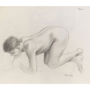 Adolescent garçon à quatre pattes