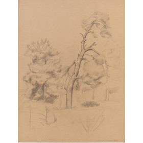 paysage : Olympie arbre Grèce