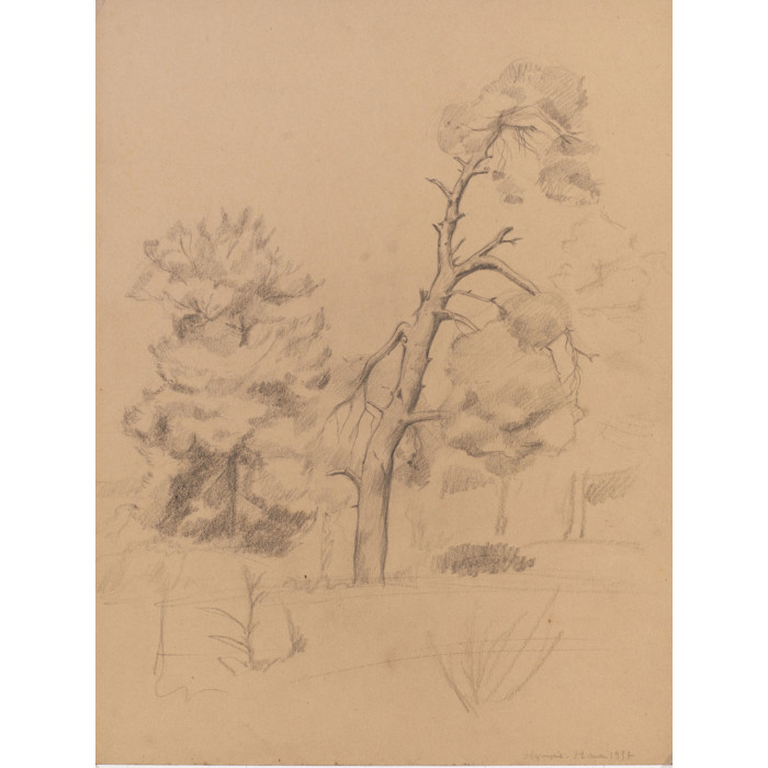 paysage : Olympie arbre Grèce