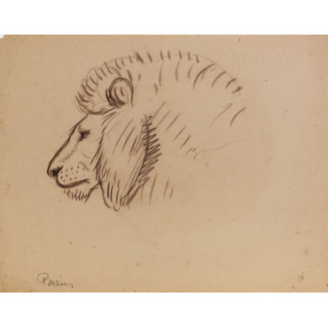 tête de lion animal