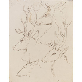 Sarcophage : Verts pâturages : têtes de cerf