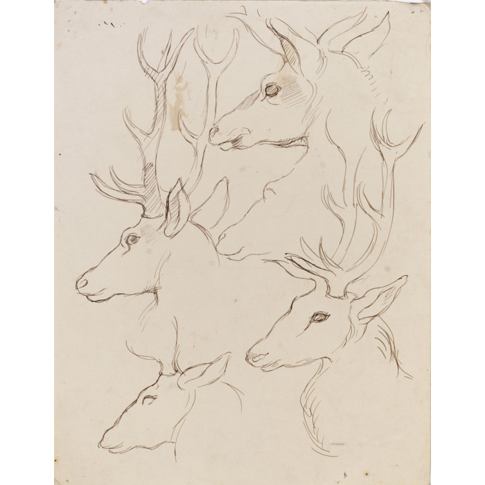 Sarcophage : Verts pâturages : têtes de cerf