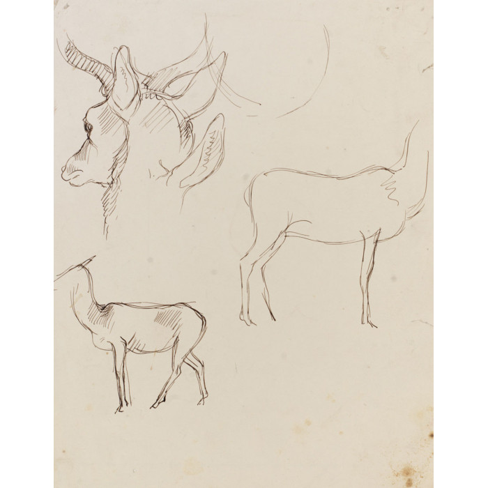 Sarcophage : Verts pâturages : cerf