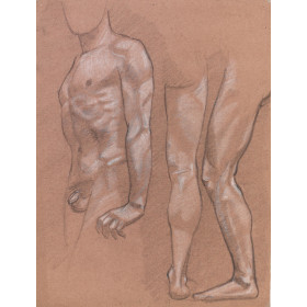 étude de torse & jambe