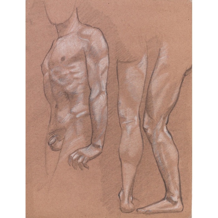 étude de torse & jambe