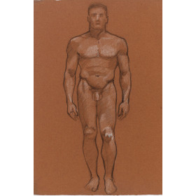 Homme nu de Face debout