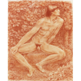 Homme nu de Face assis paysage