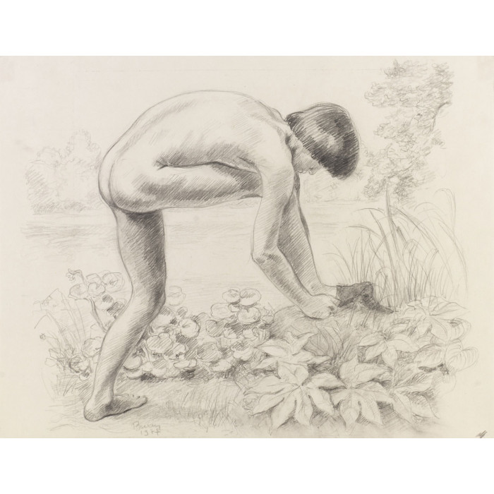 Adolescent garçon nu étang paysage