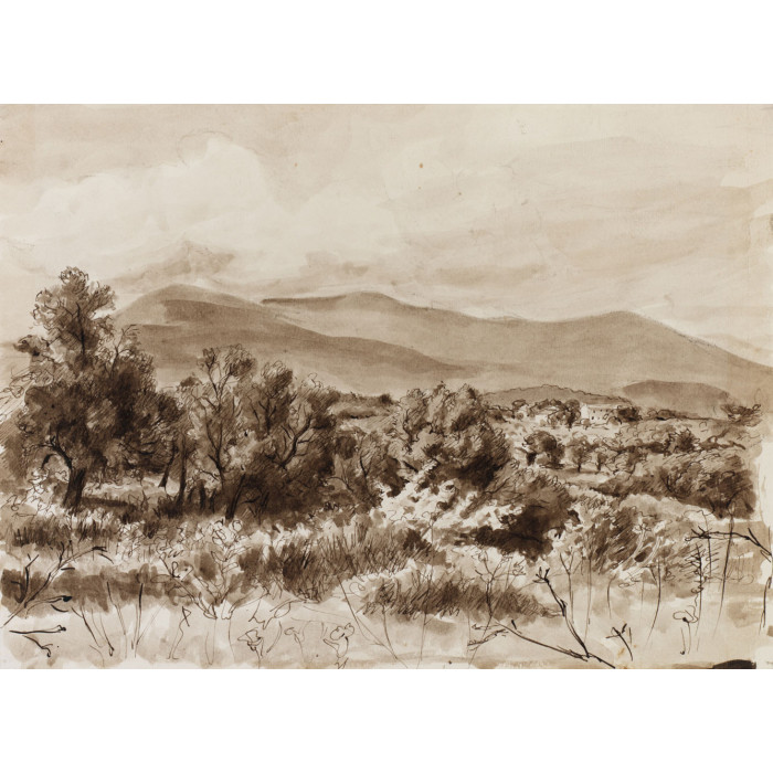 Paysage:les Courmettes vers du Clas