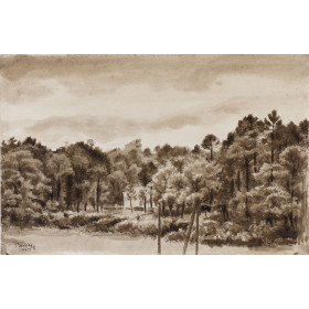 Paysage de pins:Roquefort de ma fenêtre