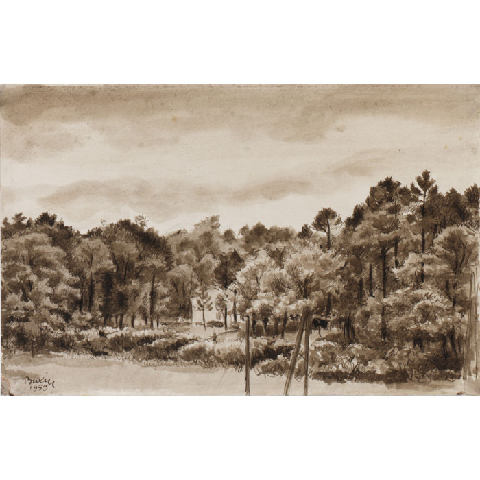 Paysage de pins:Roquefort de ma fenêtre