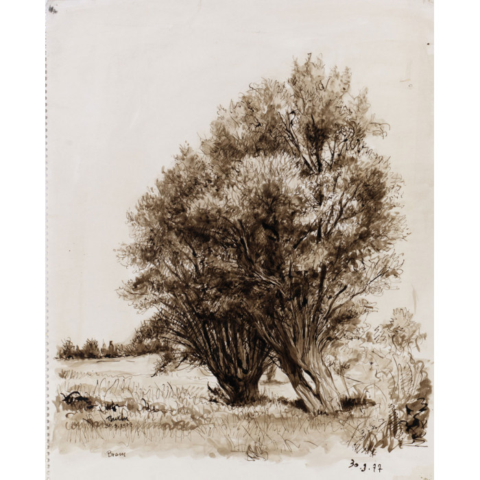 Paysage:deux arbre à Bram