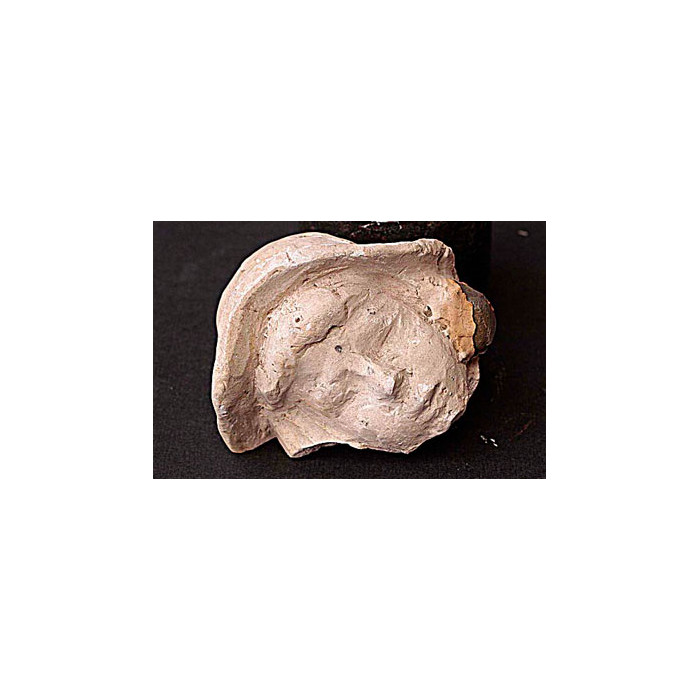 Cadran solaire / Fragment du visage
