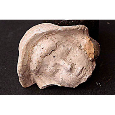 Cadran solaire / Fragment du visage